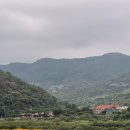 밀양한우동물병원 | 밀양 선샤인테마파크 요가컬쳐타운 바디스파, 바디케어 이용후기