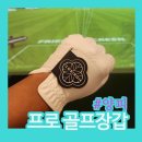 디앤골프 | 프로 선수 골프장갑 추천｜손에 착 붙는 크로버디앤메이크 사용후기
