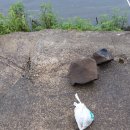 청풍낚시 - 제천시 용두천로 18 | 청풍낚시