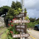 귤한가 | [귤한가] 제주 협재 조식이 맛있는 감성숙소 내돈내산