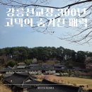 강릉 가볼만한 곳, 강릉선교장 여행 후기