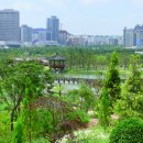용태울 | [4월20일~21일] 대전광역시 문화관광 및 봄꽃 홍보 팸투어