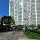 신방한라동백@ 3 이미지