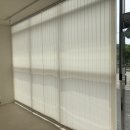 월드피아 이미지