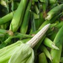 최부자농장 이미지