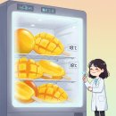 이안상사 이미지