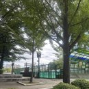 부림중학교 뒤 이미지