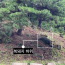 거북이동산 이미지