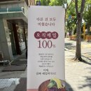 베다니 | 일산 서구 대화동 평양냉면 “베다니맷돌막국수” 내돈내산 솔직후기