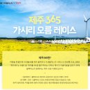 제주365