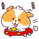 와일드복싱짐 안양관 이미지