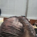 롯데마트 사하점 | 부산 신평 미용실 에리카헤어롯데마트사하점 염색하고 온 후기