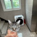 한일기건(주) | 엘지 트롬 건조기10kg 자취생 필수품! 가전은 역시 LG 가격은 글쎄?