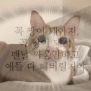 현이의 세계