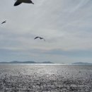 기억종합상사 이미지