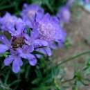 선바우농장 이미지