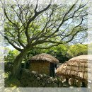 [제주] 제주도의 과거를 그대로 담은 곳 – 제주 민속 마을