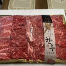 솔향정육점
