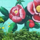 왕장1리 이미지