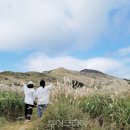 공주시 교통약자이동지원센터 이미지