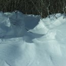 매봉산2 이미지