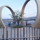 손커피연구소 이미지