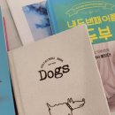 강변의하루 네이버블로그