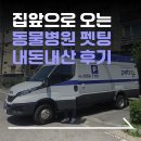 우리동네동물병원 | 집 앞으로 찾아오는 동물병원 " 펫팅 " 1편 | 내돈내산 솔직후기 | 고양이 건강검진 추천