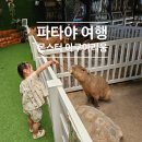 몬스터피시카페 | 태국 파타야 가족여행 아이와 가볼만한곳 몬스터 아쿠아리움 체험짱!