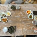 동해안붉은대게