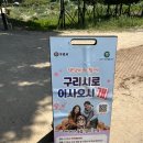장자호수공원 | 장자호수공원 반려동물 놀이터 방문 후기! (PetPass 이용 팁)
