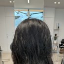 샤기존헤어