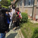 다목초등학교 이미지