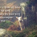 하늘에너지 이미지