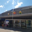 승구목장 | 강원도 여행 &#34; 평창 휘닉스 파크 , 블루캐니언 &#34;