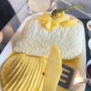 로맨스 파파 | 가을감성 만렙! 남양주 카페 금남리커피, 생망고빙수X브리오슈가 만들어낸 극적인 로맨스 (ft. 가을데이트)