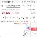 [ 무곡금성님] KODEX 배당가치 ETF 이미지