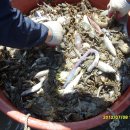 마니산펜션 이미지