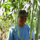 하이농장 이미지