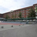 화정초등학교 이미지