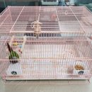 준요네집 이미지