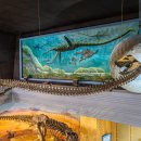 트루돈 | 나혼자산다 이주승 공룡박물관 위치 정보