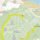 현충원 산책길 | 서울 단풍 명소 추천｜서촌 단풍보다 한적한 ‘국립서울현충원 단풍·은행나무길’(무료 주차)