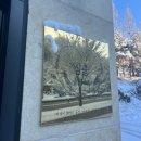 심쿵플레이스 이미지