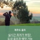 (주)아일랜드투어여행사