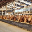 산정축산 이미지