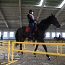 홍성군 승마장 이미지