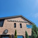 (주)아성다이소 천호본점 | [7월 둘쨋주] 대전 성심당 한화신구장 기아한화경기 / 조치원 세종 당일치기 / 병점 스포츠전신마사지