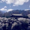 강남로(정하동) 이미지