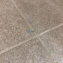 금호어울림 2405동 이미지